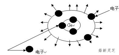 靈芝孢子粉中含有天然有機鍺