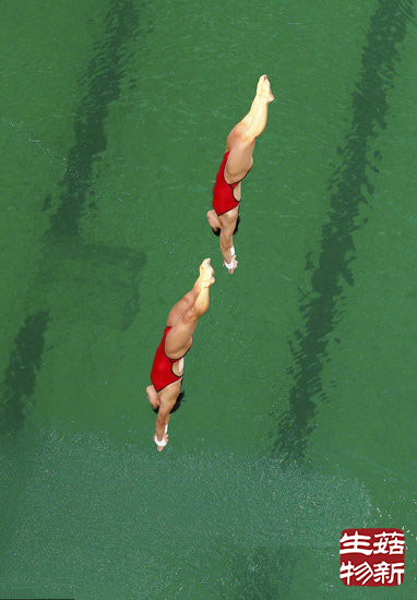 里約奧運跳水池池水變綠