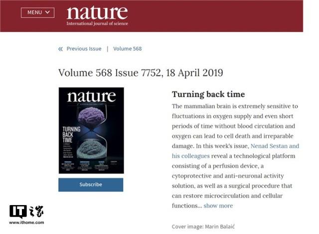 Nature封面重磅發(fā)布耶魯大學(xué)最新研究：豬大腦在死亡4小時(shí)后成功復(fù)活